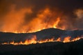 Fast spreading wildfires depict climate changes ecological impacts