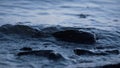 Fast stream flowing dark stones evening closeup. Cold lake water wash rocks Royalty Free Stock Photo