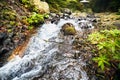 Fast stream nature Royalty Free Stock Photo