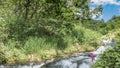 A fast stream flows through the meadow. Royalty Free Stock Photo