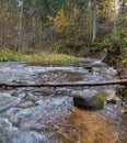 Fast stream on small river. Royalty Free Stock Photo