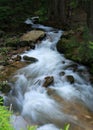 fast stream winds in the woods