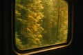 Fast Train Forest Motion Royalty Free Stock Photo