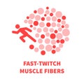 Fast twitch white muscle fiber tissue illustration Royalty Free Stock Photo