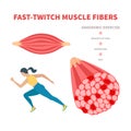 Fast twitch white muscle fiber type illustration