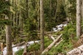 Fast water stream in wild mountain creek in Joffre Lakes Provincial Park green forest landscape. Royalty Free Stock Photo