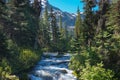 Fast water stream in wild mountain creek in Joffre Lakes Provincial Park green forest landscape. Royalty Free Stock Photo