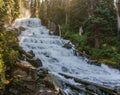 Fast water stream in wild mountain creek in Joffre Lakes Provincial Park green forest landscape. Royalty Free Stock Photo