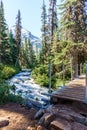 Fast water stream in wild mountain creek in Joffre Lakes Provincial Park green forest landscape. Royalty Free Stock Photo