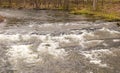 White water rapids or small waterfalls in Spring