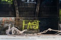 Fast word written with yellow spray paint inside abandoned train car Royalty Free Stock Photo