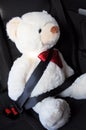 Fasten your seat belt Royalty Free Stock Photo