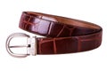 Fastened fashionable men`s brown leather belt Royalty Free Stock Photo