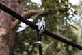 The fastening of ropes with safety locking U-Bolts made for a bridge across the river. Steel wire rope clamp for tightening sling