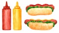Fastfood clipart set, hot dog with salad leaves, mustard and ketchup