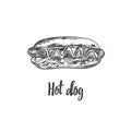 Fastfood dishes . Vector Hand drawn Isolated vector objects. Hot dog Royalty Free Stock Photo
