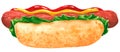 Fastfood, hot dog with salad leaves, ketchup and mustard, hand drawn watercolor