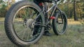 Fat bike also called fatbike or fat-tire bike in summer riding in the forest. Royalty Free Stock Photo