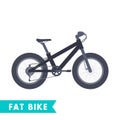 Fat bike in flat style isolated on white Royalty Free Stock Photo