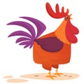 Fat cartoon rooster. Colorful vector illustration of singing rooster.