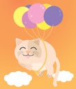 A Fat cat floating in the orange sky. Royalty Free Stock Photo