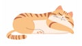 Fat cat lying on its back asleep in a funny sitting position. Fat kitty sleeping, dreaming, relaxing. Tired sleepy pet Royalty Free Stock Photo