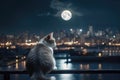 a fat cat sitting on a fence looking at the moon