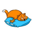 Fat cat sleeping pillow rest illustration cartoon