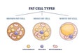 Fat cell types as adipocyte division in brown, beige or white outline diagram