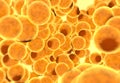 Fat cells. Inside human organism Royalty Free Stock Photo