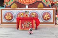 1 fat cute pug sitting in a Chinese temple, selectable Focus