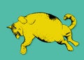 Fat cute yellow cat is resting on the green Royalty Free Stock Photo