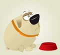 Fat DOG Royalty Free Stock Photo