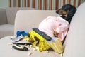 Fat dog couch potato eating a popcorn, fast food and watching television Royalty Free Stock Photo