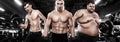 Fat, fit and athletic men. Ectomorph, mesomorph and endomorph . Before and after result. Group of three young sports men Royalty Free Stock Photo