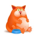 Fat glutton ginger cat with empty bowl on white background Royalty Free Stock Photo