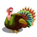 Fat gobbler isolated on white background. Vector cartoon close-up illustration.