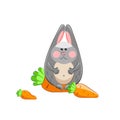 Fat happy hare with three carrots. vector. Easter. Thanksgiving Day