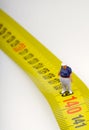 Fat man on a measurer - miniature Royalty Free Stock Photo