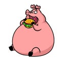 Fat pig eats fast food hamburger cartoon illustration