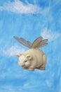 Fat piggy bank with insect wings, levitating on blue sky background Royalty Free Stock Photo