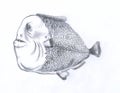 Fat piranha fish