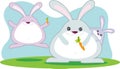 Fat Rabbit Family Royalty Free Stock Photo