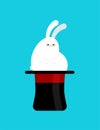 Fat rabbit in magic hat. Thick magical white hare and magician hat