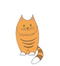 Fat red tabby sitting cat, graphic color drawing on white background