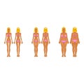 Fat and thin woman, vector illustration, normal,