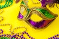 Fat Tuesday traditional accessory and Mardi Gras carnival concept theme with close up on a face mask full of color, feathers and