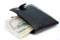 Fat wallet Royalty Free Stock Photo