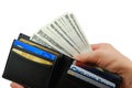 Fat wallet Royalty Free Stock Photo