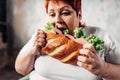 Fat woman eats sandwich, overweight and bulimic Royalty Free Stock Photo